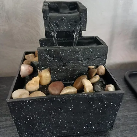 Lavenere Da Gigi E Patty