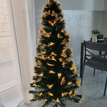 Lavenere Da Gigi E Patty