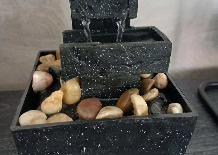 Lavenere Da Gigi E Patty